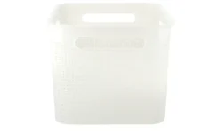 Rotho Aufbewahrungsbox
