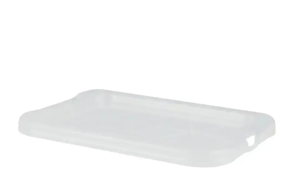 Rotho Deckel für Aufbewahrungsbox