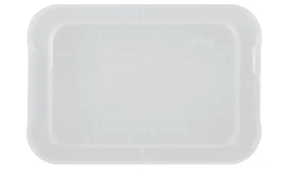 Rotho Deckel für Aufbewahrungsbox