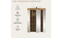 Spiegelschrank