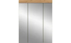 Spiegelschrank