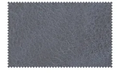 TV-Sessel Baerbel