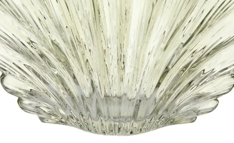 Vase Muschel