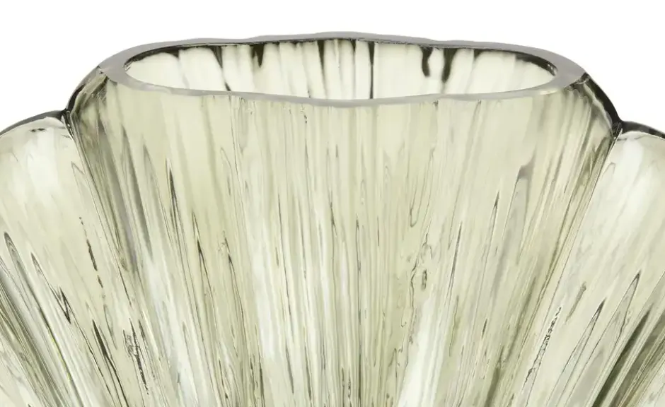 Vase Muschel