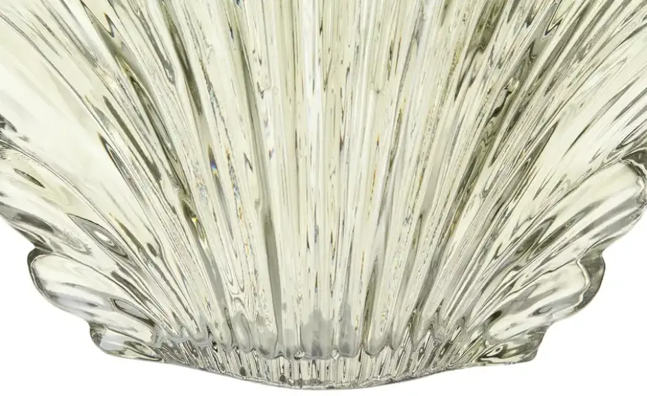 Vase Muschel