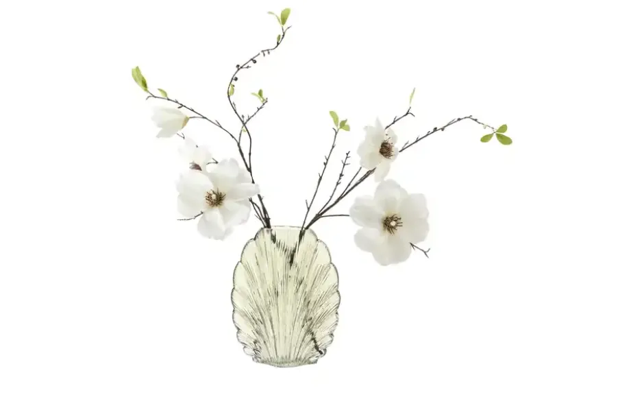 Vase Muschel