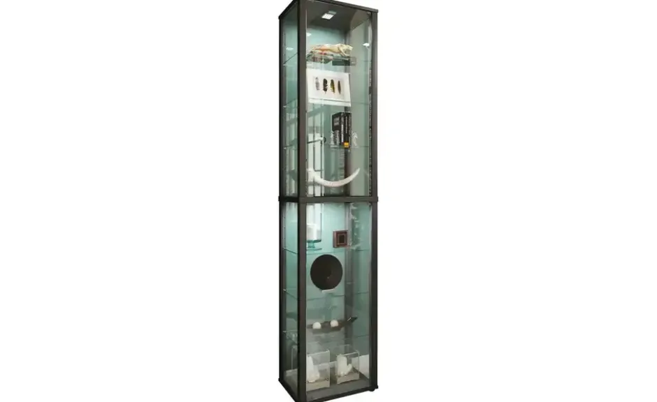 Vitrine