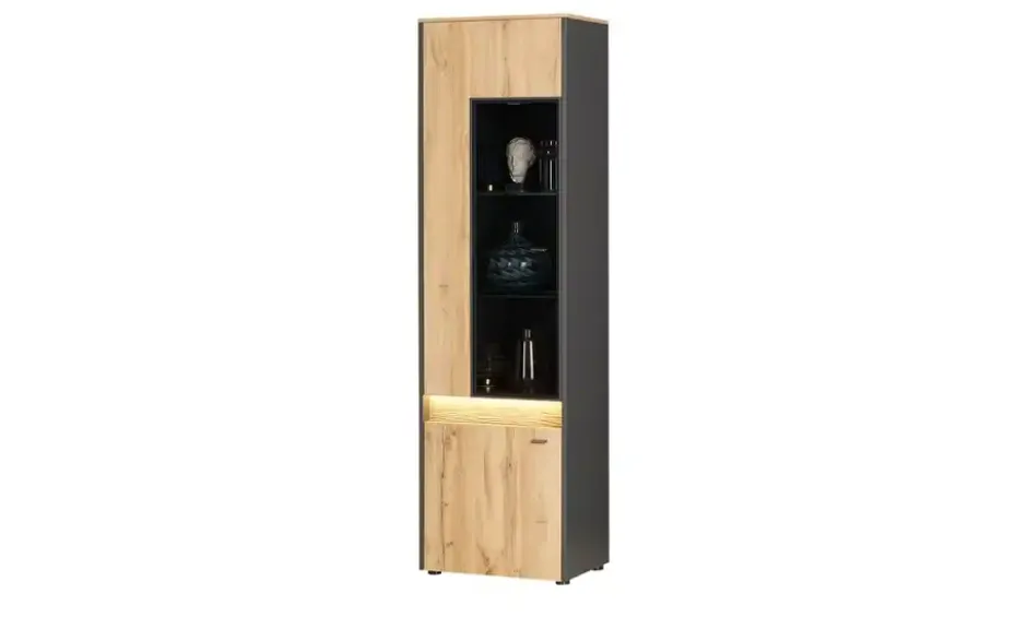 Vitrine Light Line 10