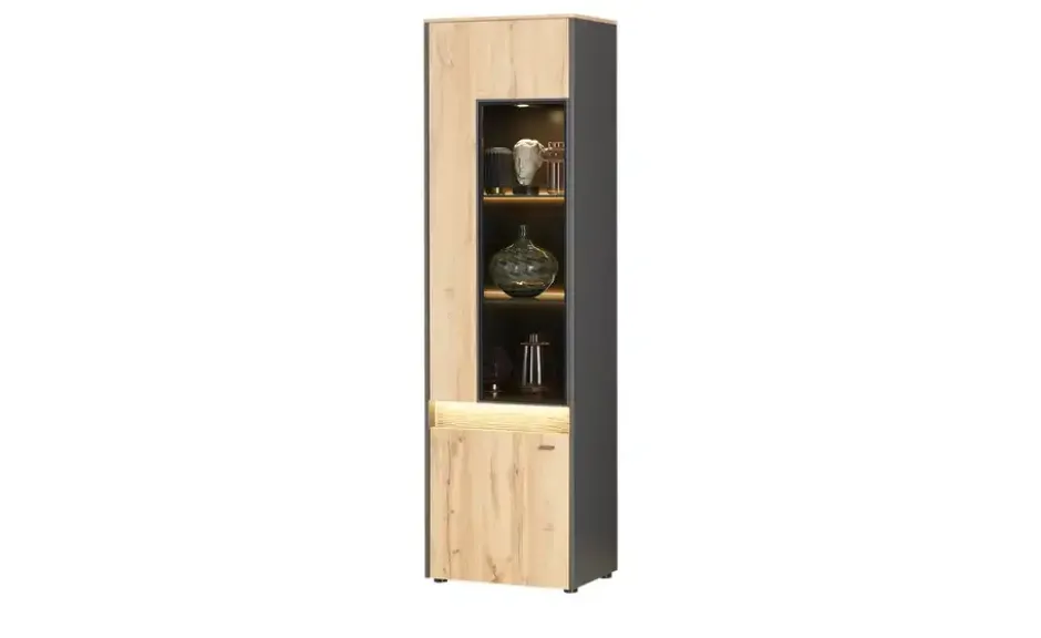 Vitrine Light Line 10