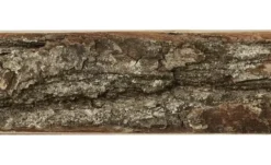 Wandboard
